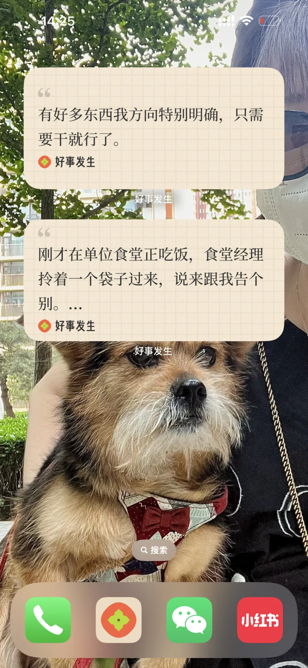 桌面组件